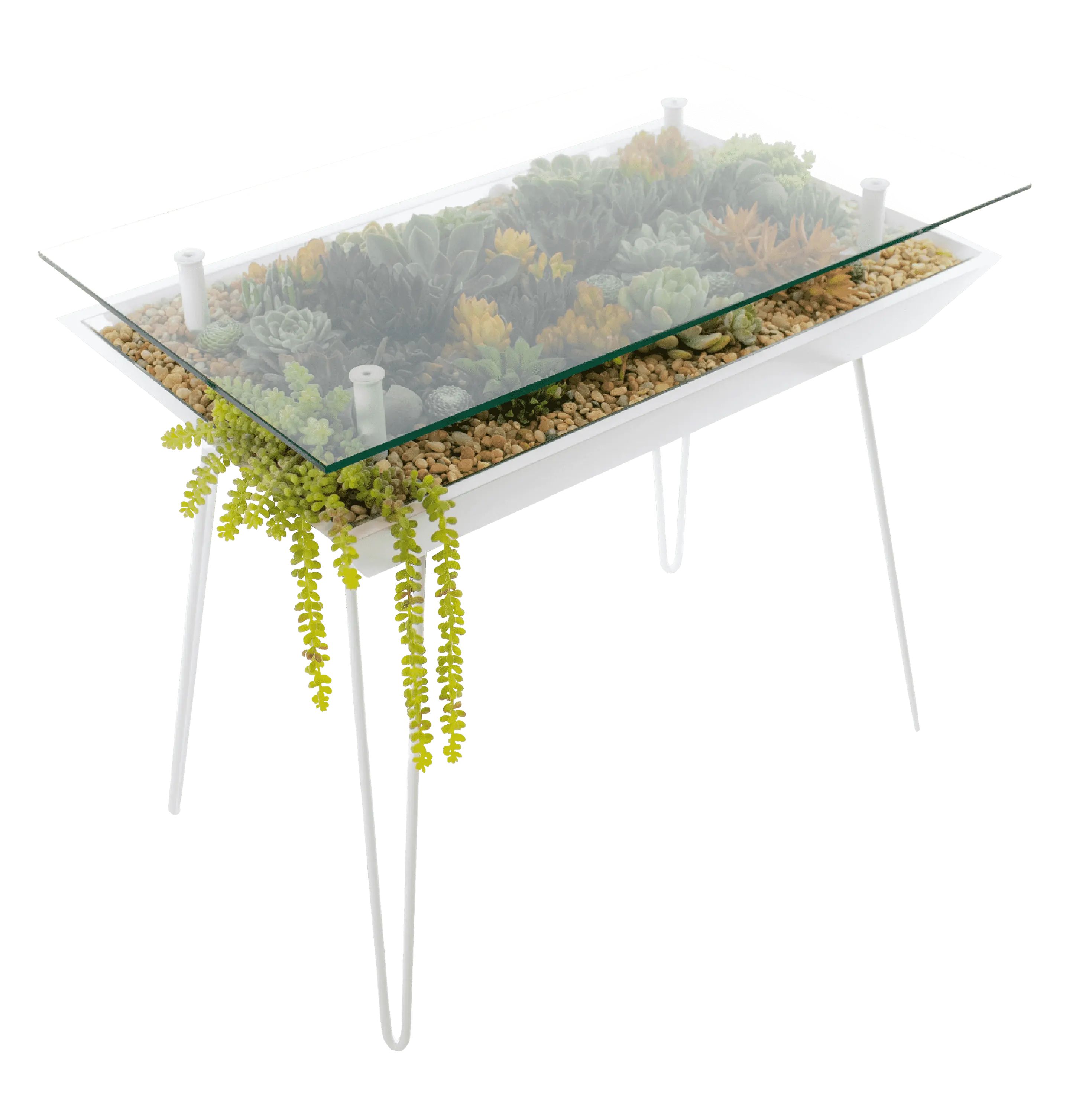 blooming table for succulents BloomingTables Desk