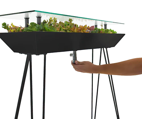 succulent side table BloomingTables Side Table – Blooming Tables