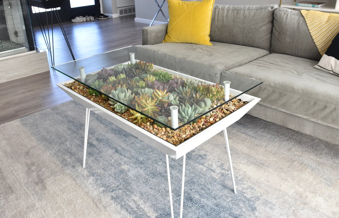 glass table succulent garden BloomingTables Coffee Table – Blooming Tables