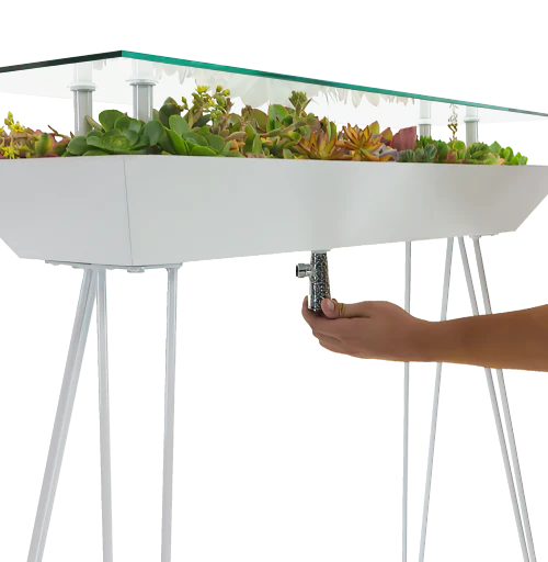 blooming table for succulents Entryway Table – Blooming Tables