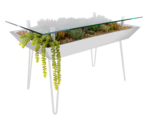 succulent glass table BloomingTables Coffee Table – Blooming Tables