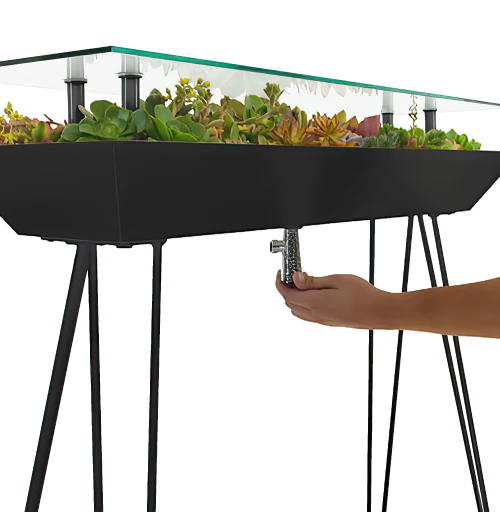 succulent glass coffee table BloomingTables Coffee Table – Blooming Tables